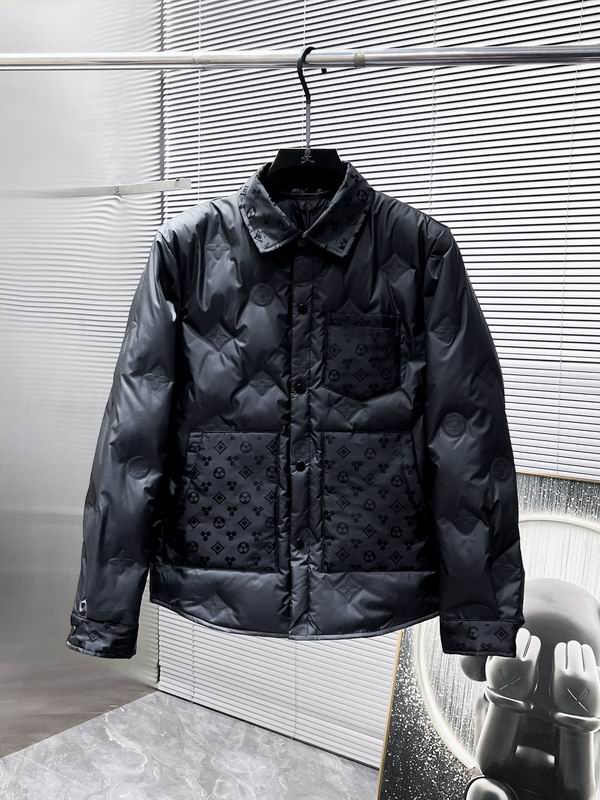 Louis Vuitton Down Jacket Mens ID:20250925-17